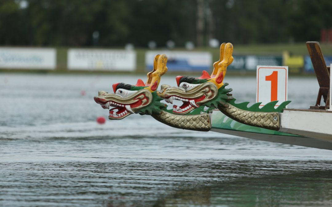Dragon Boat Paddling